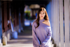 爱上海419：上海登革热疫情的传播模式研究